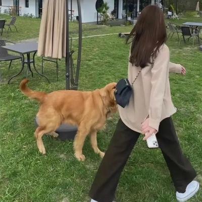 杀人预言