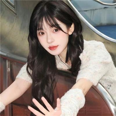 狮子军龙虎鬪